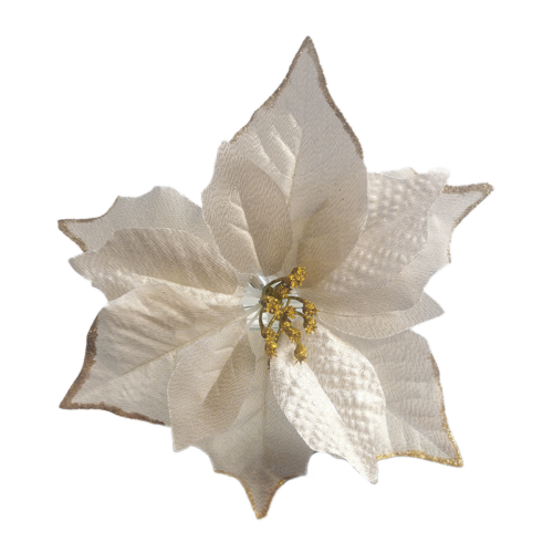 joulukorise poinsettia joulukukka valkoinen kultainen glitter